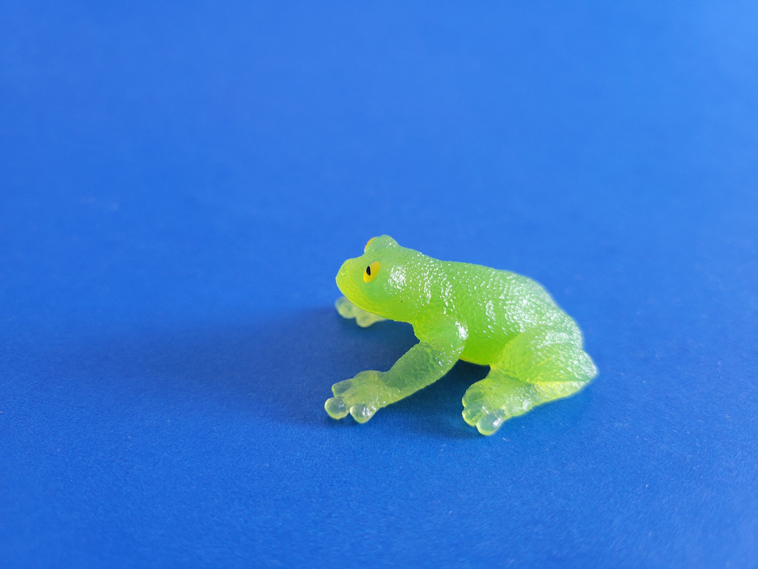 Pacific giant glass frog Toy Animal Wiki