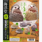Hedgehogs and Sugar glider collection