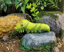 Bandai Spirit Asian swallowtail larva