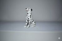 Dalmatian puppy