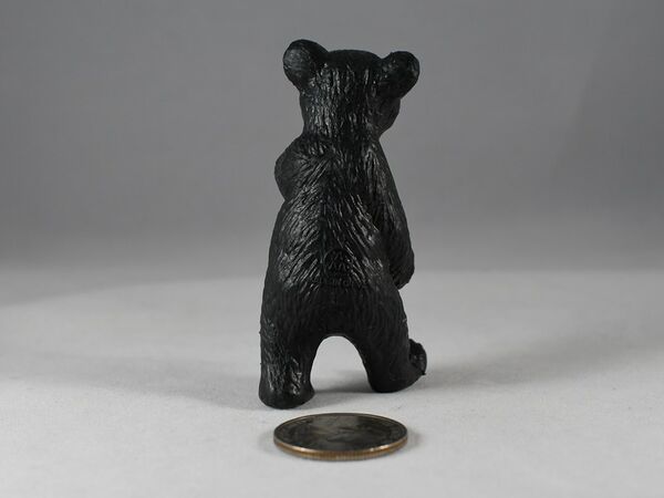 AAA Black Bear Cub Standing up 3.jpg