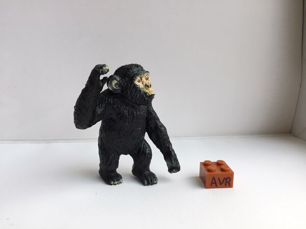 AAA Chimpanzee Baby 2.jpg