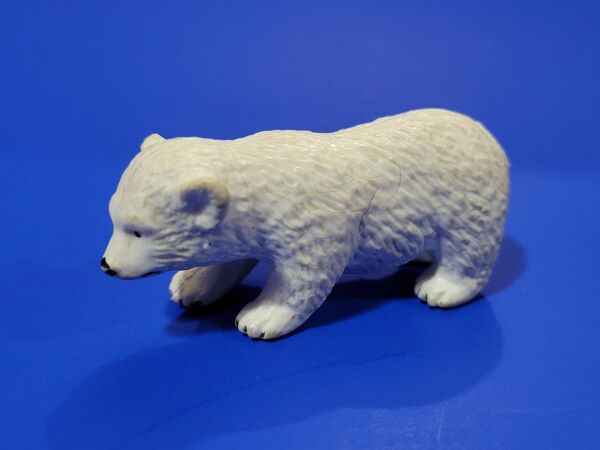 AAA polar bear cub paw out.jpg