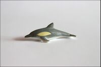 AH WNF series3 dolphin1.jpg