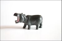 AH WNF series5 hippo1.jpg