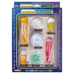 Jellyfish