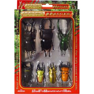 World stag beetles