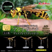 Paper Wasp Display Stand Set
