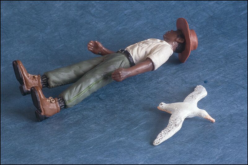 File:Albert Heijn Albatros 2.jpg