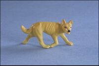 Albert Heijn Dingo 1.jpg