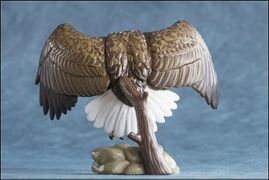 Asahiyama 5 White-tailed Sea Eagle 5.jpg