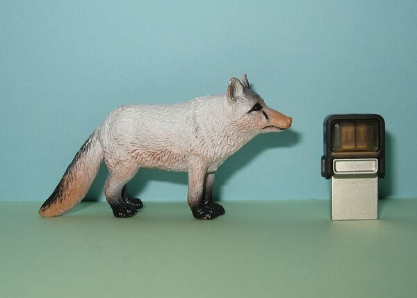 Atosa-fox zps78a9d1f5.jpg