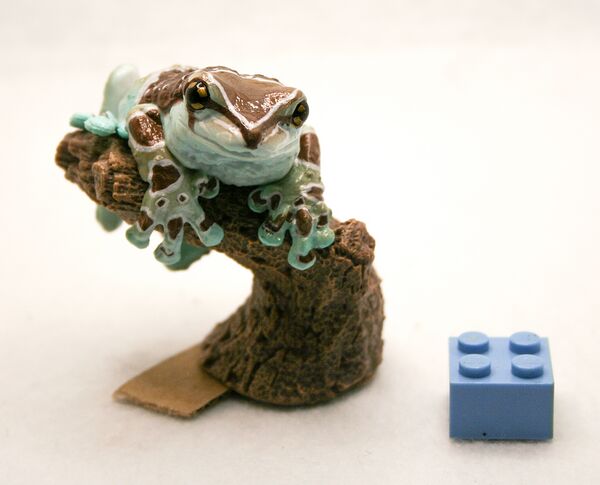 Bandai Amazon milk frog.jpg