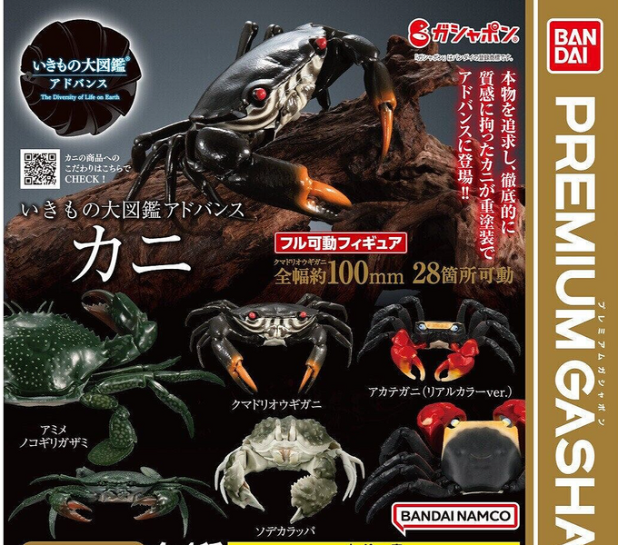 File:Bandai Crabs 3.png