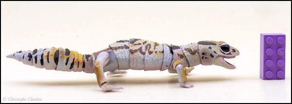 Bandai DoL Advanced Lizards West African fat-tailed gecko 1.jpg