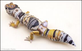 Bandai DoL Advanced Lizards West African fat-tailed gecko 5.jpg