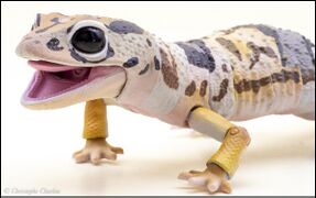 Bandai DoL Advanced Lizards West African fat-tailed gecko 7.jpg