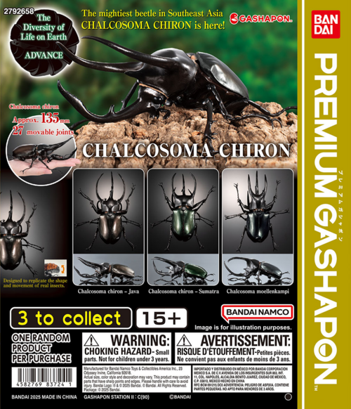 Bandai Dol Chalcosoma chiron.png