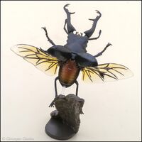 Bandai Mini 03 Prosopocoilus giraffa