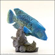 Bandai Mini Humphead wrasse 4.jpg