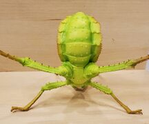 Bandai Spirit Malayan jungle nymph 4.jpg