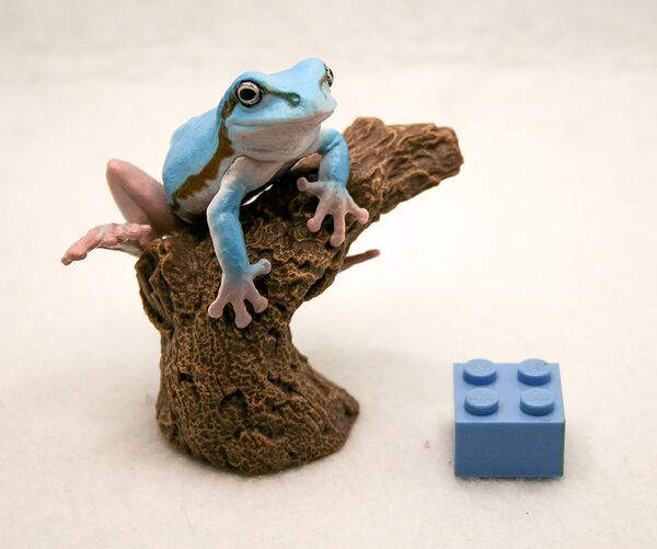 Bandai Tree frog (blue).jpg