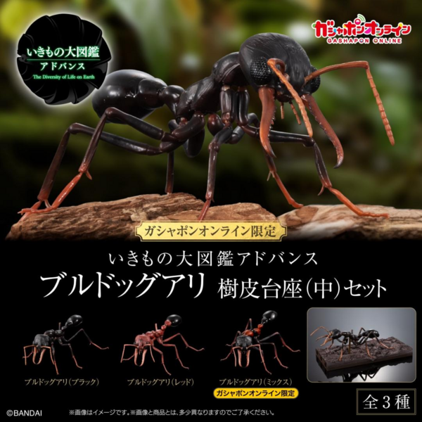 File:Bandai bulldog ants.png