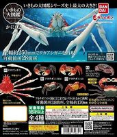 Crab 2