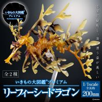 Bandai DoL premium Leafy sea dragons