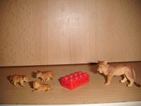 Asiatic lioness with cubs