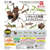 Insects 2 Mantis & Locust