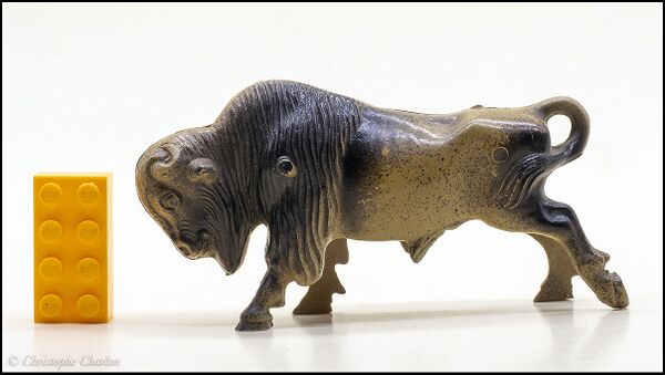 Beton HP American buffalo 1.jpg