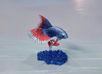 Siamese fighting fish