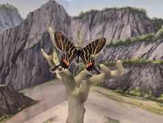 Science Technicolor Chinese Three-Tailed Swallowtail