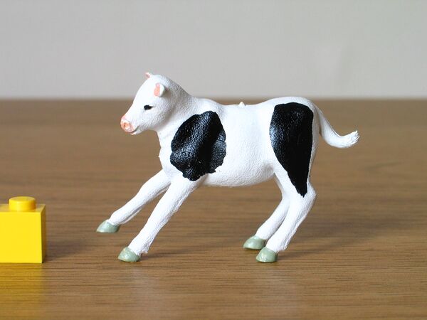 Britains Bull calf frisking black early 1.JPG