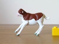 Britains Bull calf frisking brown & white 1.JPG