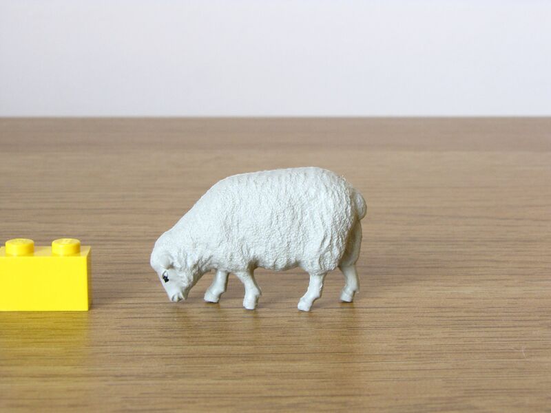 File:Britains Sheep feeding 1.JPG