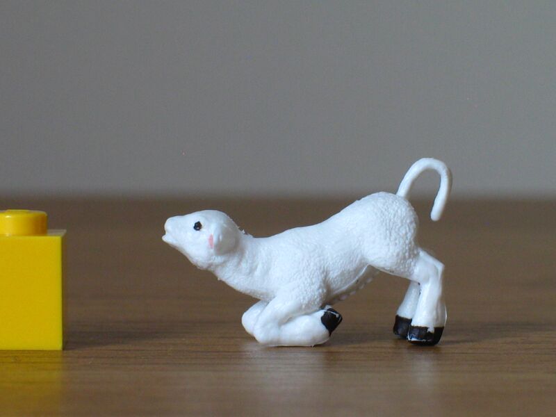 File:Britains early lamb kneeling 2.JPG