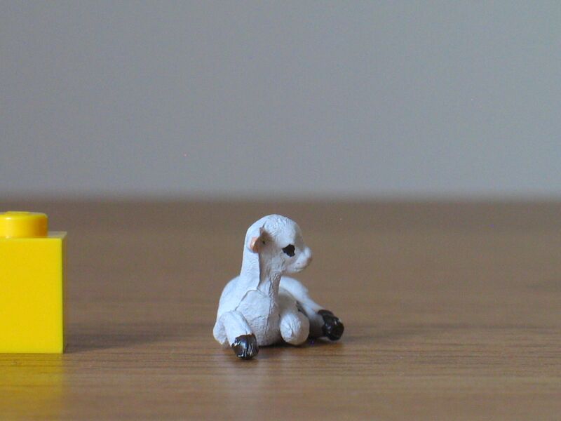 File:Britains lamb lying 1.jpg