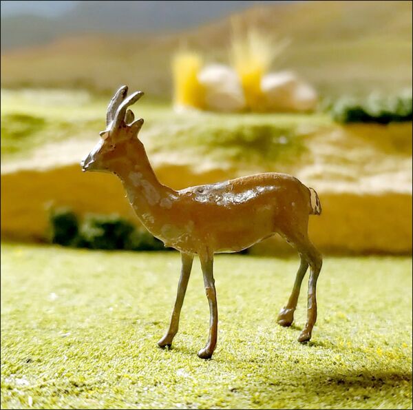 Britains lead Bush buck 1.jpg