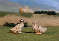 Britains lead Ducks.jpg