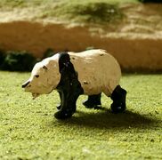 Britains Lead Baby Panda Bears Sitting and Standing