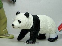 Brunnen Giant Panda Cub