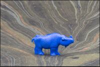 MZPI Black rhinoceros calf