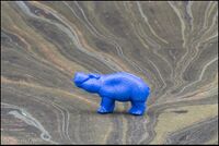 MZPI Hippopotamus calf