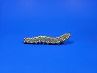 2. Mylitta Crescentspot Caterpillar Phyciodes mylitta