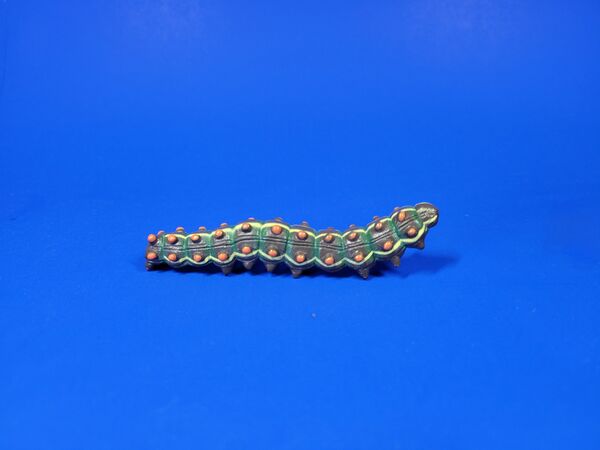 CE-caterpillars-crescentspot-pg.jpg