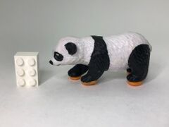 Club Earth Footprint Stamp Giant Panda