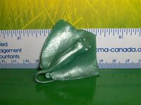 CE DasyatisStingray1.JPG