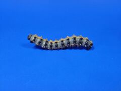 Club Earth Gulf Fritillary Caterpillar